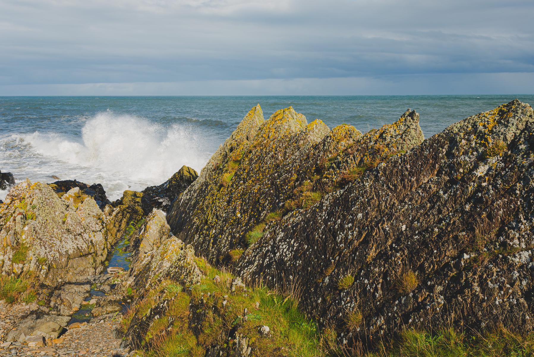 Вдоль моря на мысе Clogherhead — фото 2