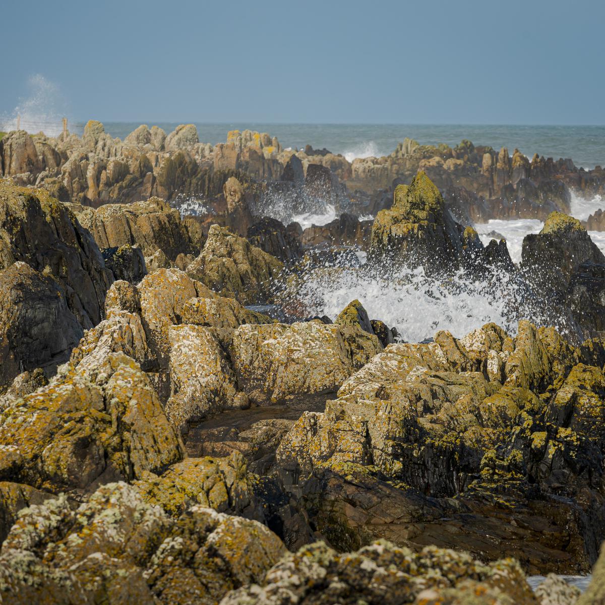 Вдоль моря на мысе Clogherhead — фото 4