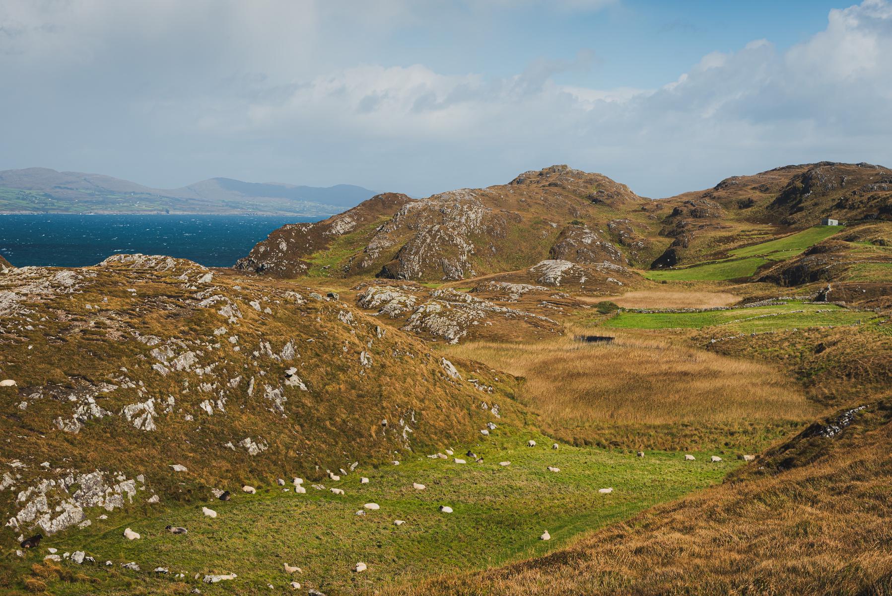 Three Castles Head — фото 6